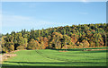 Field on south side of A94