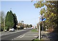 Junction of Bardon Road and Bardon Close