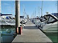 Brighton Marina, Pontoon #16