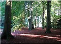 TG2703 : The Framingham Arboretum by Evelyn Simak
