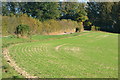 Field beside track to Boveridge