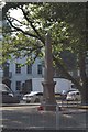 War memorial obelisk, Old Steine