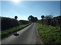 TM4198 : Croft Road, Norton Subcourse by Geographer