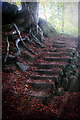 SK2579 : Stone steps and roots in Yarncliff Wood by Andy Stephenson