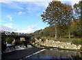 NU1714 : Weir in Hulne Park by Gordon Hatton