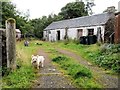 Disused Garden