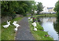 Towpath along the Leeds and Liverpool Canal