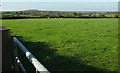 Cattle pasture, Easten Bowtan Farm