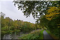 The Forth and Clyde Canal passing the Cleddans district of Kirkintilloch