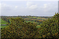 Across the treetops on Kinver Edge in Staffordshire