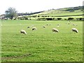 Hillside above Lowmill Bridge