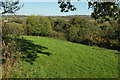 Field and wood near Milton Combe