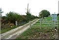 Farm Track Crossing The Railway