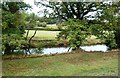 Riverside Fields Near Sleights