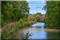 Chesterfield : Chesterfield Canal