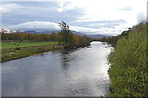 NH9419 : River Spey by Anne Burgess