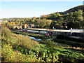 Thames & Severn Canal Thrupp