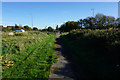 Path towards the A1033 Thomas Clarkson Way, Hull