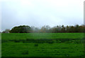 Grazing off Birchin Lane