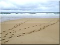 NB5449 : Footprints on Tràigh Mhòr by Oliver Dixon