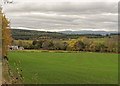 NH6151 : Field above Allangrange Mains by valenta