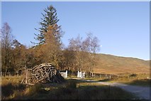 NN6915 : Pile of stobs, Glen Artney by Richard Webb