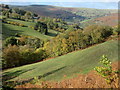 Field sloping down to Nant-y-Pandy