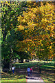 Wiltshire : Stourhead - Footpath