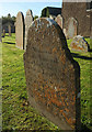 Gravestones, Woodland