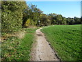 Path at the edge of the playing field, alongside Holme Brook