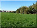 Houses in Hambledon Close, Chesterfield