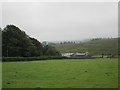 Grass field and farm at Saughtree