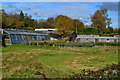 Plant nursery at Goathurst Common