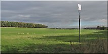 SE3835 : Farmland near Bog Lane by steven ruffles