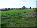 Farmland north-west of Grosmont Wood Farm