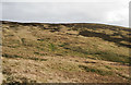 NO2066 : Slope of south ridge of Badandun Hill by Trevor Littlewood