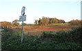 Field by The A371, Bratton Seymour