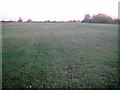 Clacton-on-Sea: Clacton Airfield airstrip (2)