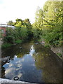 River Cole, looking north, in Springfield