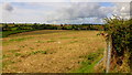 Harvested field above the Garren Brook valley