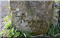 NX9919 : Benchmark on stone gatepost on north side of School Brow by Roger Templeman