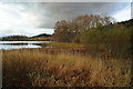 NH4757 : Loch Kinellan and its crannog by Julian Paren