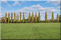 Grange Park Centenary Field