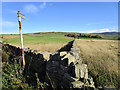 Footpath to Ringstones Farm