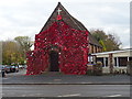 Penkridge Poppy Cascade