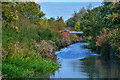 Brimington : Chesterfield Canal