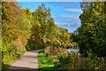 Brimington : Chesterfield Canal