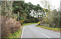 A924 crossing Dounie Burn