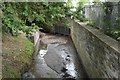 A small stream by Dark Street Lane