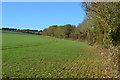 Field south of Bush Farm